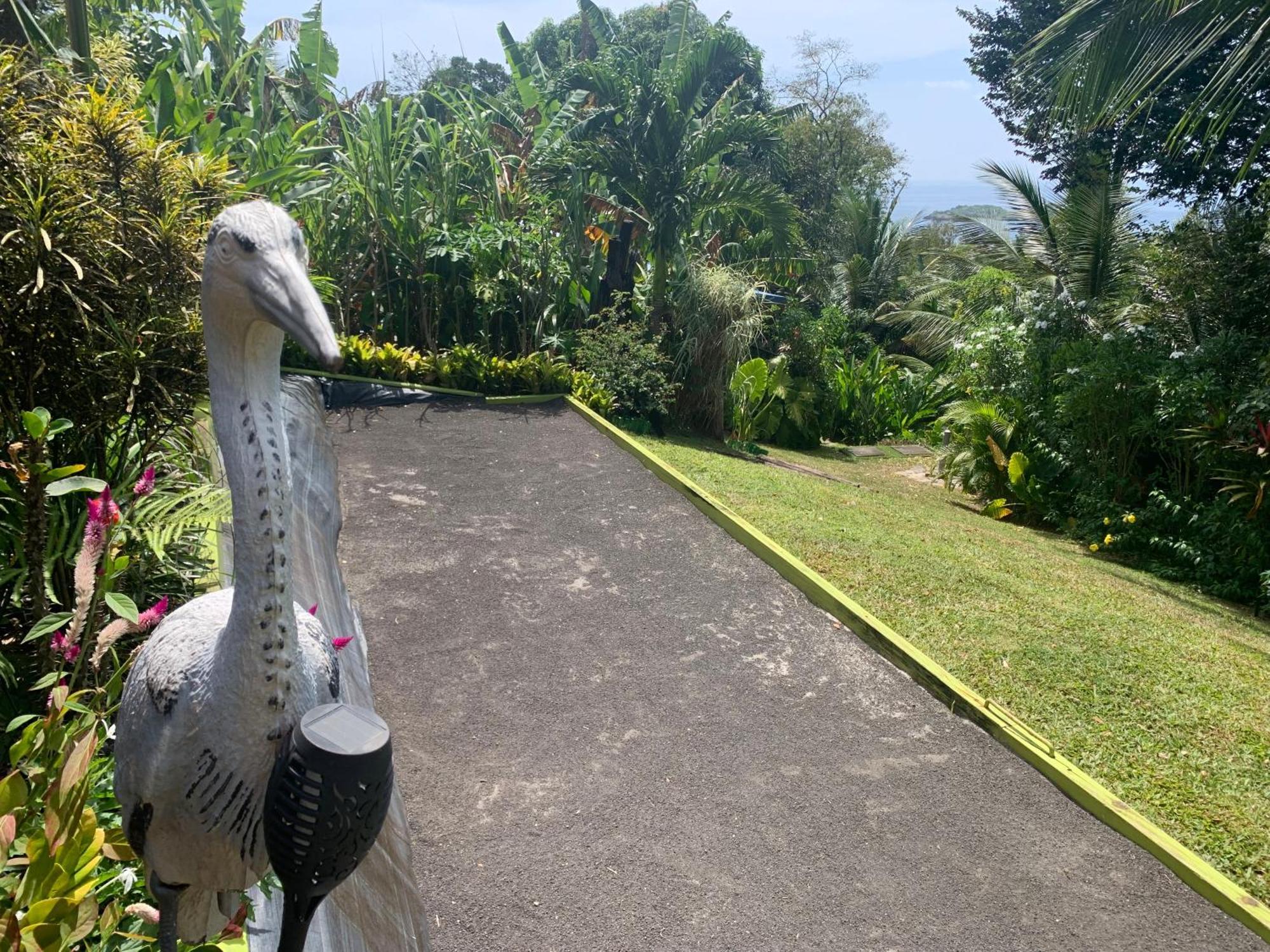 Les Ilets Caraibes Vue Mer 波尔兰特 外观 照片