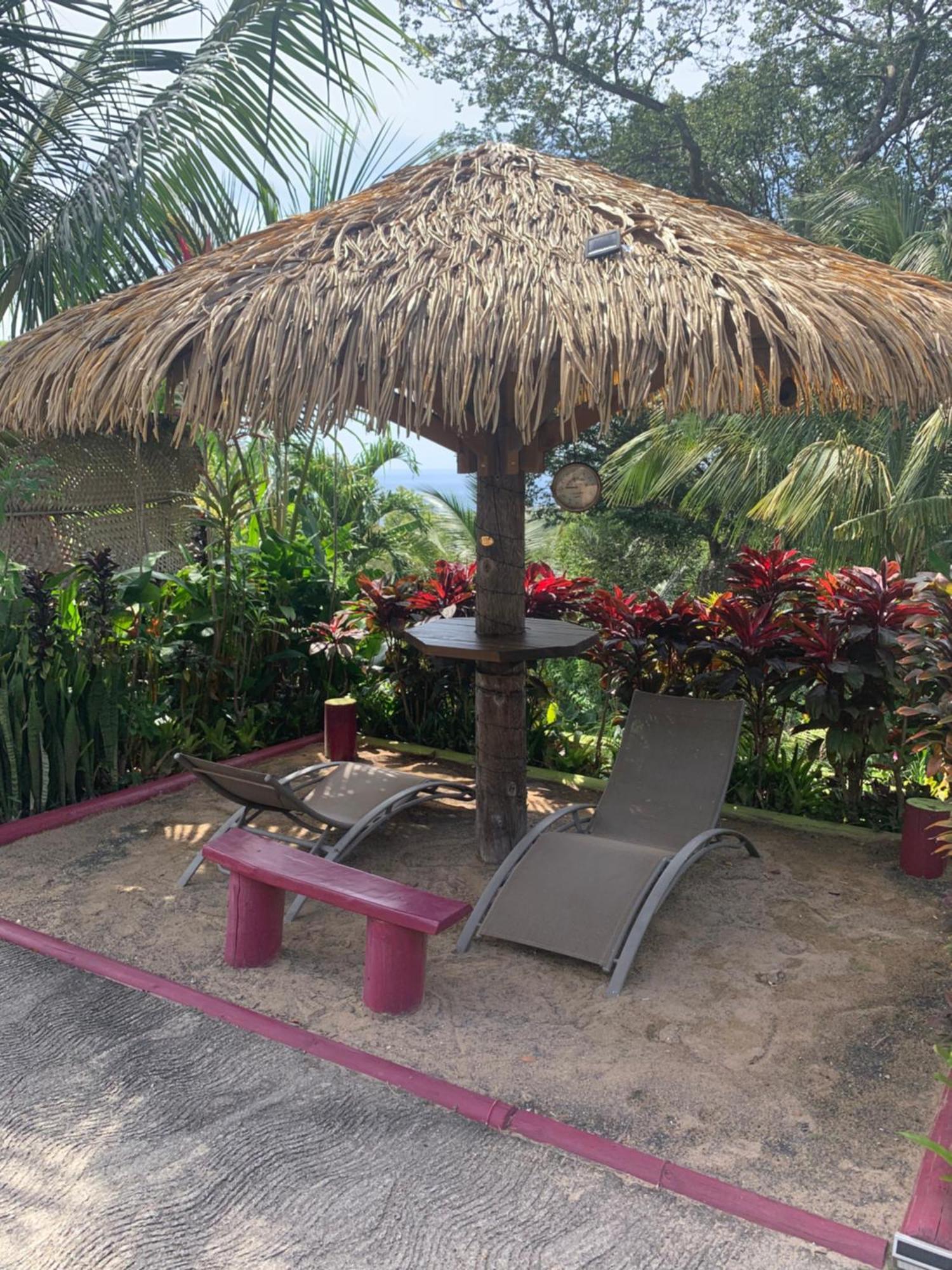 Les Ilets Caraibes Vue Mer 波尔兰特 外观 照片