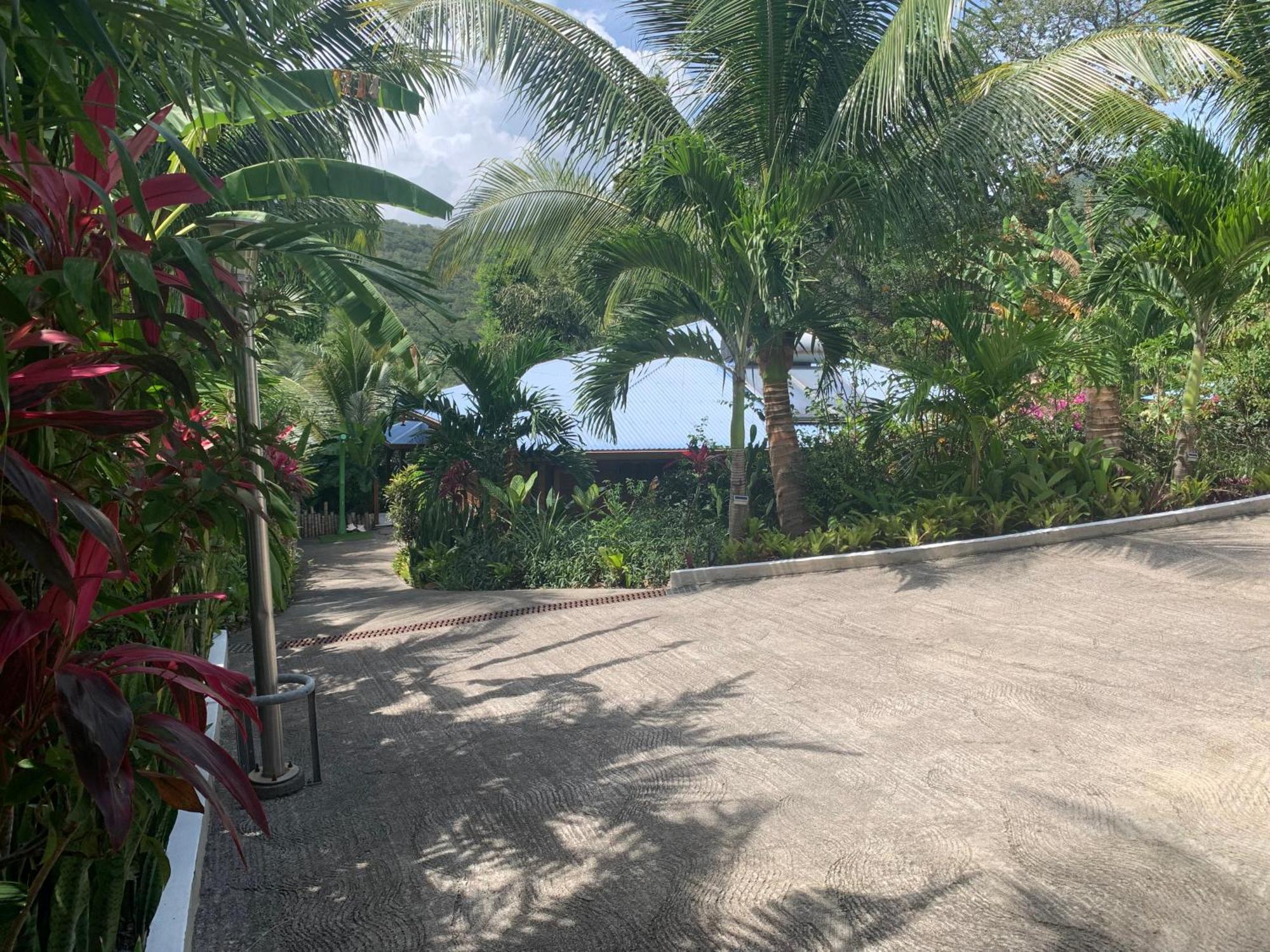 Les Ilets Caraibes Vue Mer 波尔兰特 外观 照片