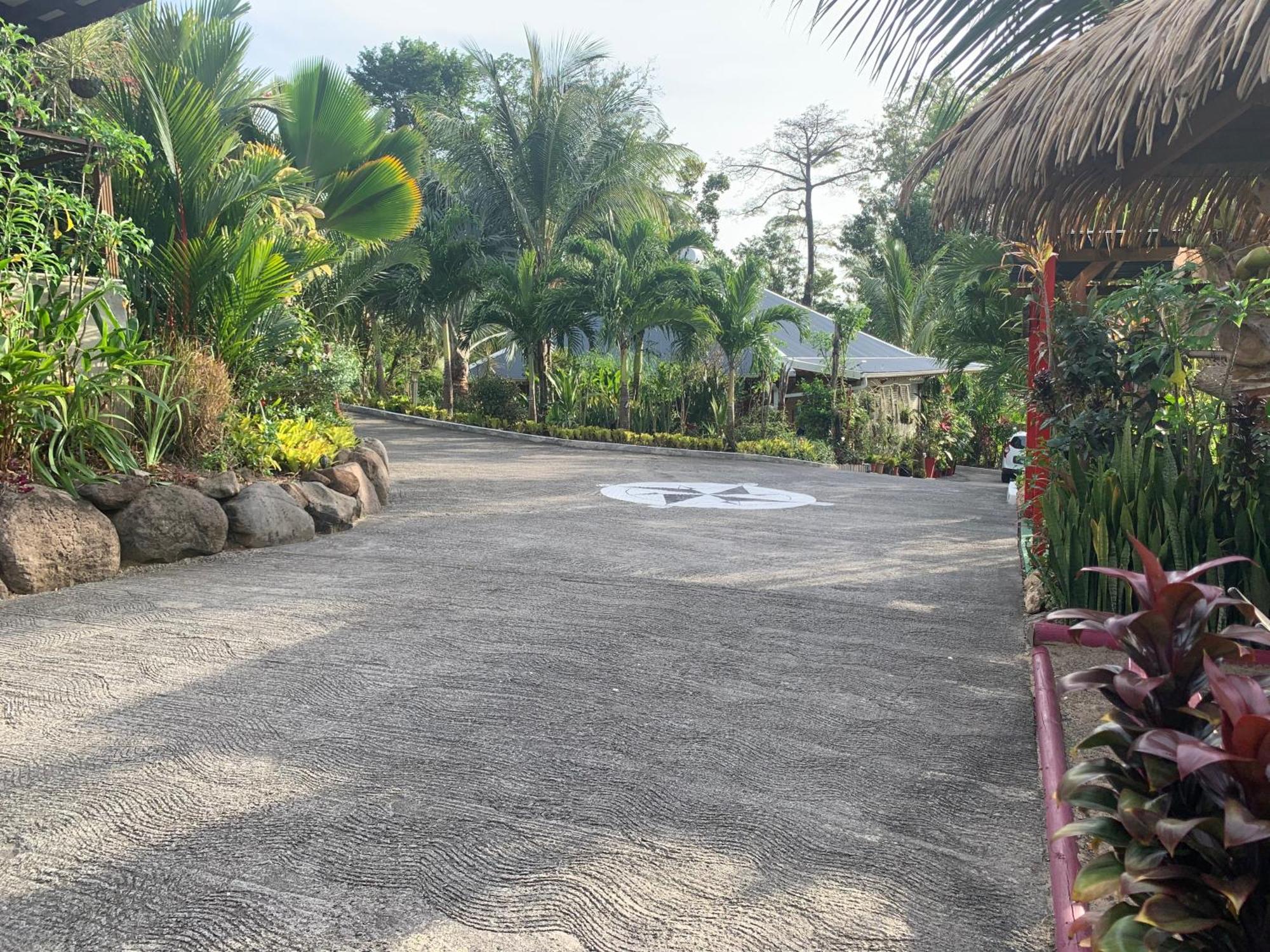 Les Ilets Caraibes Vue Mer 波尔兰特 外观 照片